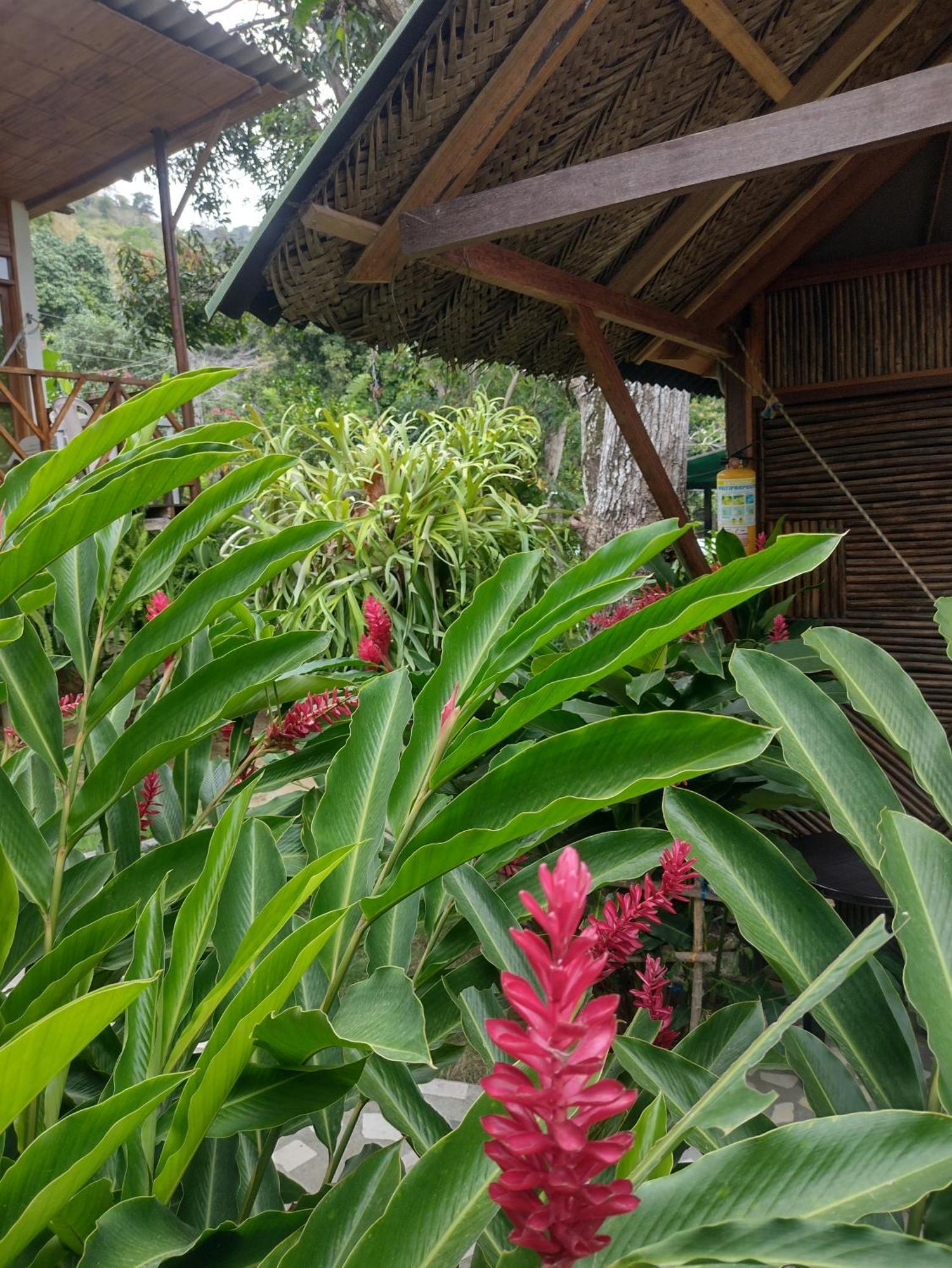 Kankui Lodge El Zaino Eksteriør bilde